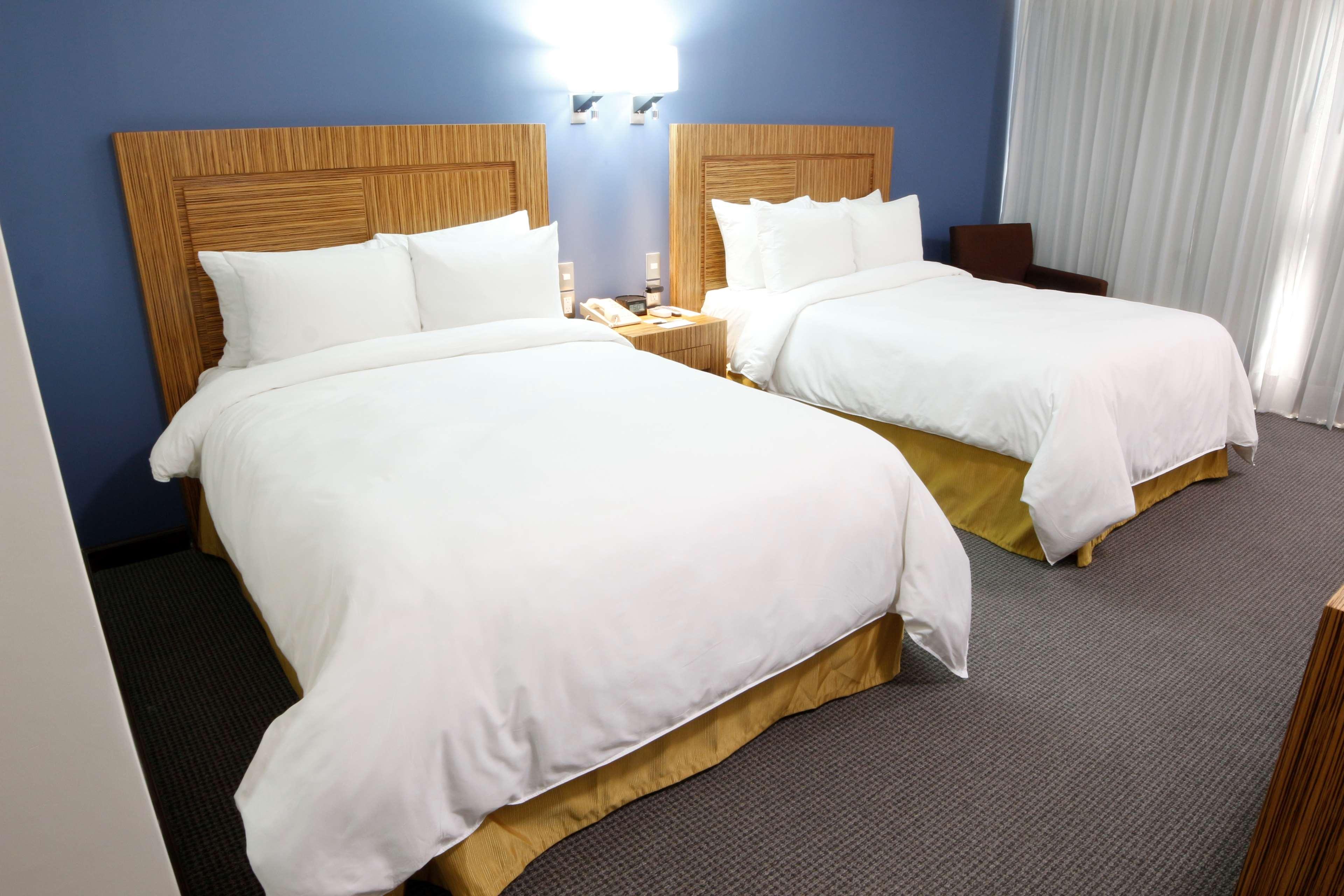 Radisson Hotel & Convention Center Toluca Zewnętrze zdjęcie